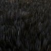 Colorless Field (detail)