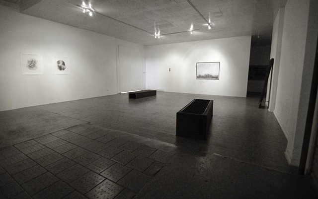 Curious Duality (at Stockroom)