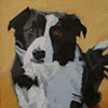 Cooper