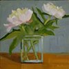 Peonies Popped
