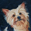 Fritz