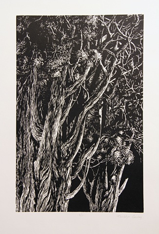 Untitled Print, 3