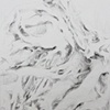 Microcosms #23