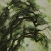 Verdant