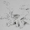 Microcosms #20