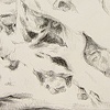 Microcosms #2