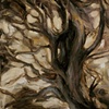 Growth