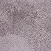 Currents, 2H [detail]
