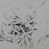 Microcosms #12