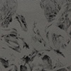 Microcosms #11