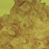 Currents, Flux