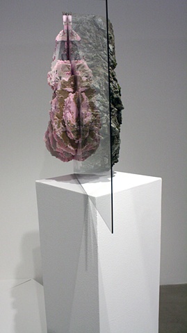 joseph g. cruz art. birds, taxidermy, david harper, taxidermy, installtion, mirror, contemporary artist