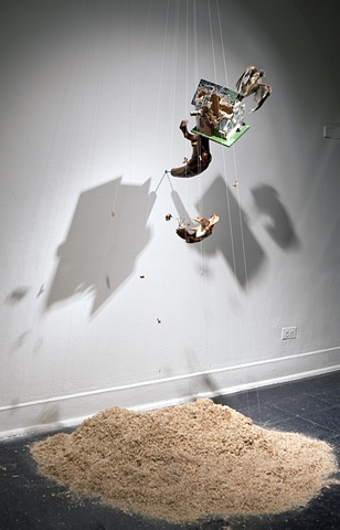 joseph cruz, bird house, taxidermy, natural history museum, diorama