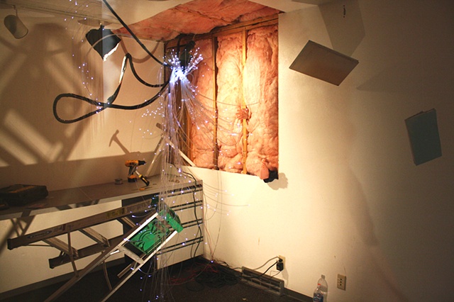 site specific installation for "Buchanan Unsanctioned"