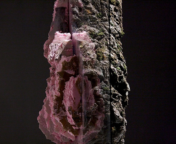 nature and culture, art, contemporary, natural history museum, art about nature, habitat diorama