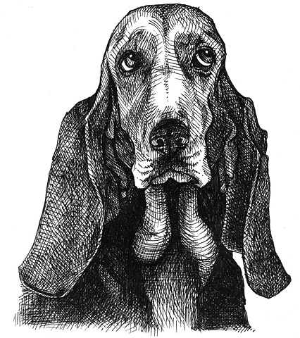 Bruno Jura Hound