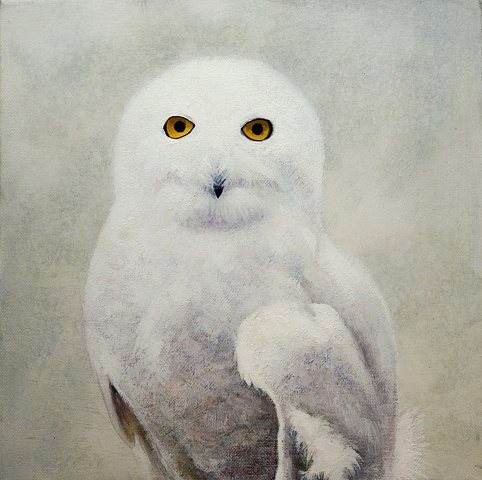 Hildegaard (Snowy Owl)