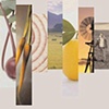 PAULA Financial 2003 Annual Report