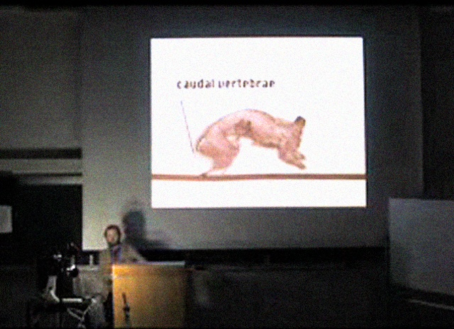 Doug Williams
Anatomy of the Lepus Timidus