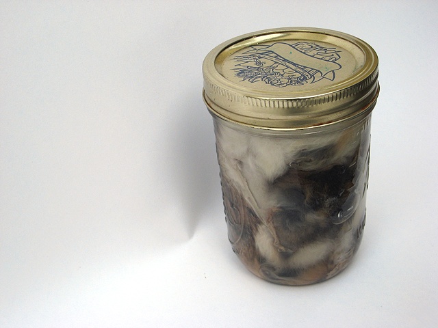 Vlad Smolkin
Canned Rabbit 
