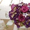 Brides Maids