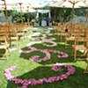 Rose Pedal Runner