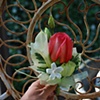 Corsage