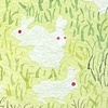 Field of Ghost Rabbits