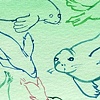 Swimming Seals
