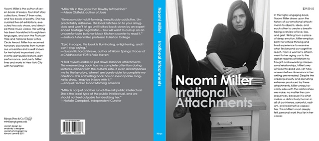 Books I Would Write If I Were a Public Intellectual: Irrational Attachments