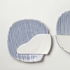 Platters
