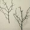 branch assisted self-portrait