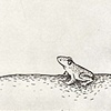 Frog II