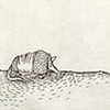 Armadillo II