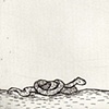 Snake II