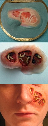 Maggots