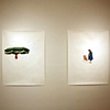 Installation Images