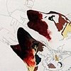 Drawings