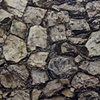 Spring 2012