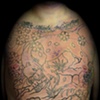 In Progress