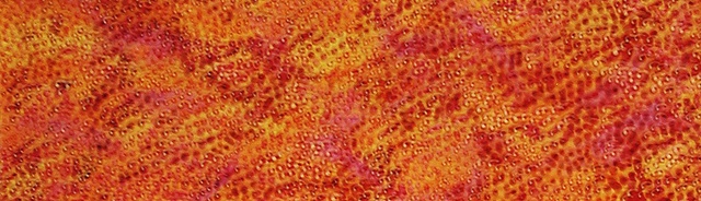 No. 88