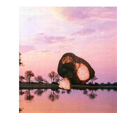 2006