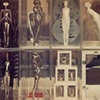 Study/Falling Man, 1964