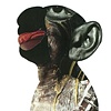 Untitled, 2006