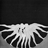 Study/Falling Man 