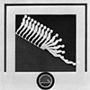 Study/Falling Man, 1963