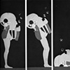Fall Triptych, 1962