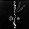 Study Falling Man, 1963
