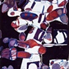 Abstraction, 1995