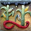 GMO Garden,
by Deb Aldo, CT
